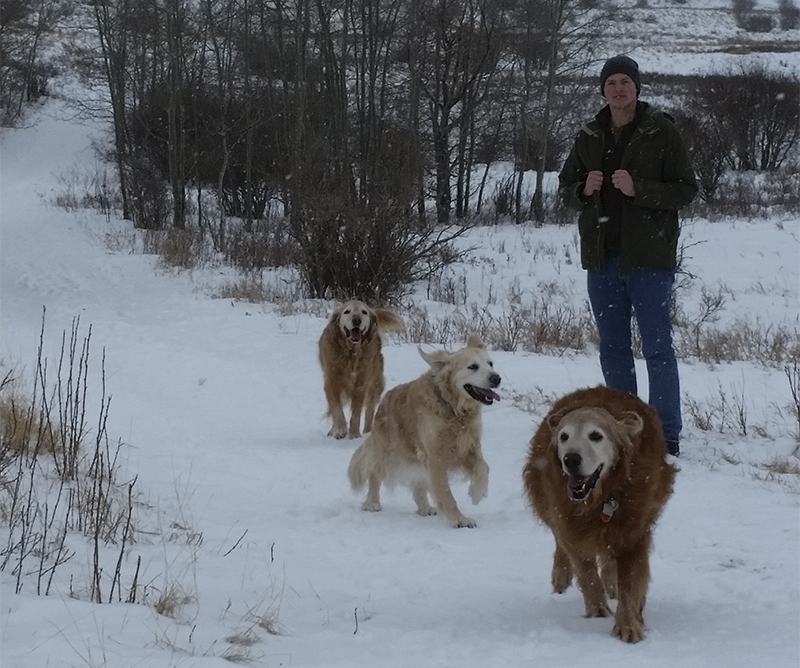 Original - Dull features